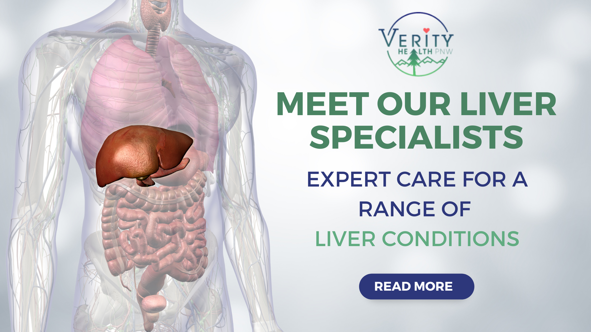Meet Our Liver Specialists Expert Care for a Range of Liver Conditions